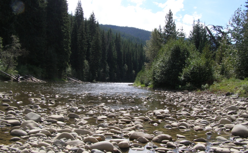 DOWN BY THE RIVER – FRIDAY’S PHLOG FOR  SEPTEMBER 6TH, 2013